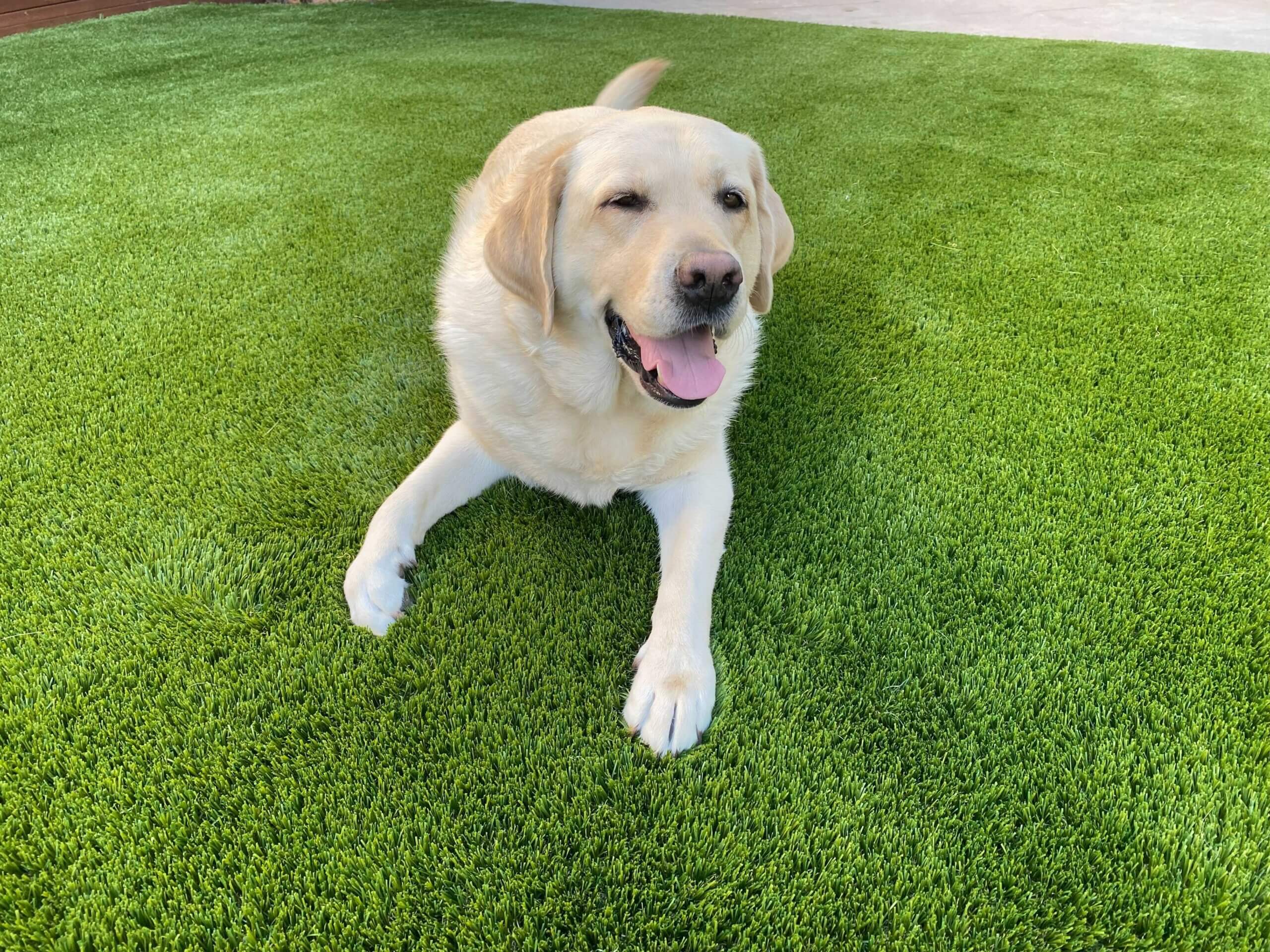 Synthetic Turf Drainage Solutions